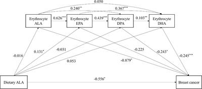 Association of dietary n - 3 polyunsaturated fatty acids with breast cancer risk: Serial mediating roles of erythrocyte n - 3 polyunsaturated fatty acids